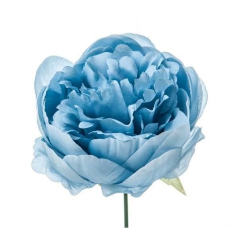 PICK PEONIA BLU' H19 D11